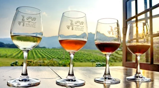 カオヤイ・ワイナリー巡り｜グランモンテ＆PBワイナリー訪問  ＜新緯度帯ワイン テイスティング体験＞